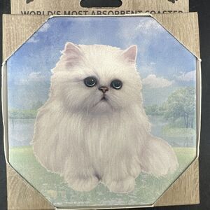 World’s most absorbent stone coaster fluffy white cat